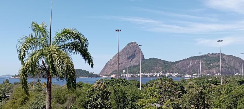 里约热内卢#Apartamento aconchegante no Flamengo - RIO的山前的棕榈树