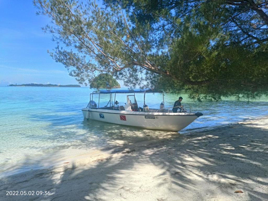 美人鱼岛环保绿色度假屋的坐在海滩上的船