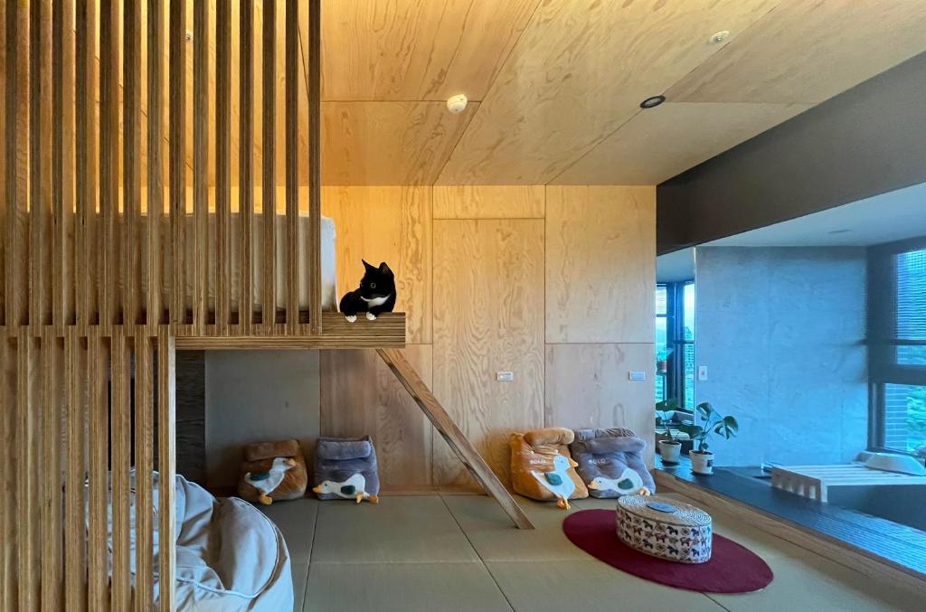 头城Toucheng Happyhouse頭城黑皮家 附早餐卷的一只猫坐在一个有填充动物的房间的架子上