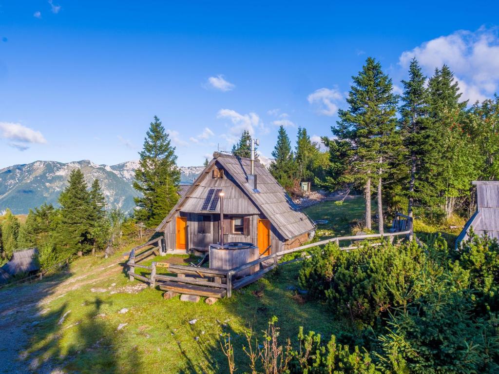StahovicaChalet Encijan - Velika planina的树林中小房子的顶部景色