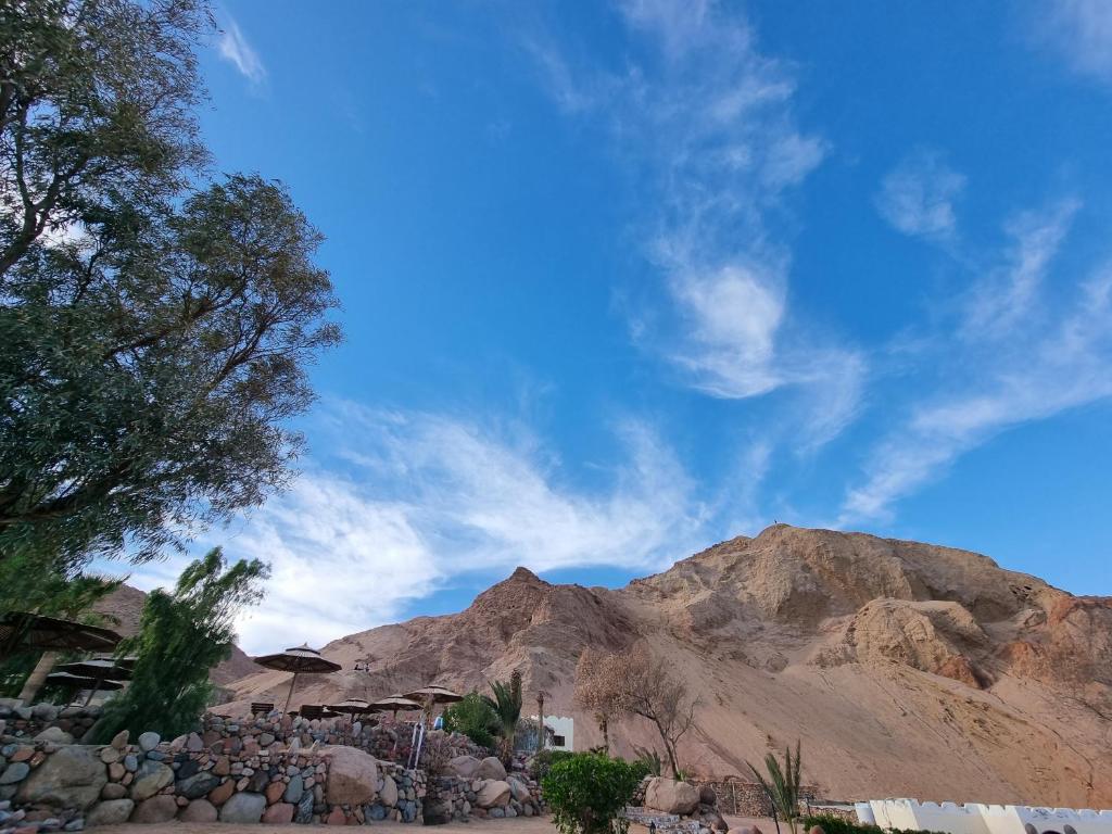 达哈布The Bedouin Moon的享有沙漠美景,背景为山脉