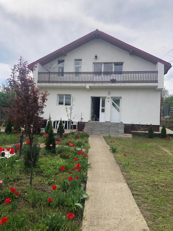 雅西Casa Rediu Iasi的前面有红花的白色房子