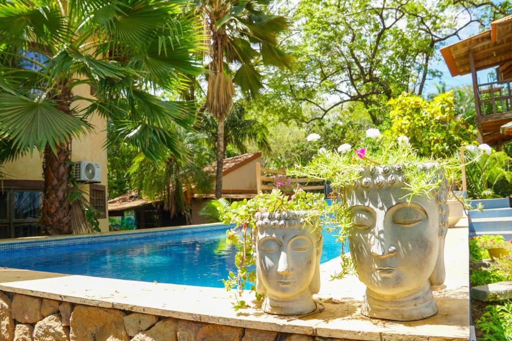塔马林多Hotel Boruca Tamarindo的两个大花瓶,在游泳池旁边满是植物