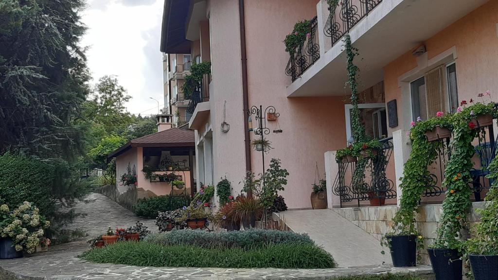 圣君士坦丁和海伦那莫提维酒店的街道边有植物的建筑