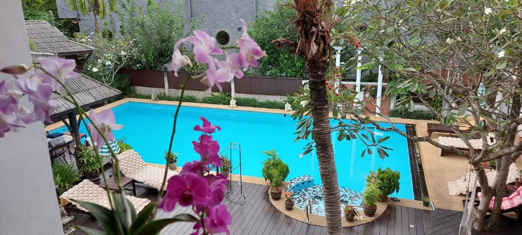 Haad Chao PhaoPhangan Paragon Resort & Spa by Pure Lifestyle的花园游泳池的顶部景色