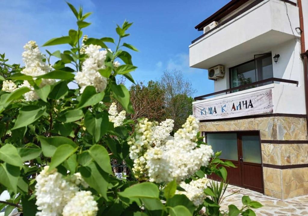 洛泽内茨Villa Kalina的前面有白色花的建筑