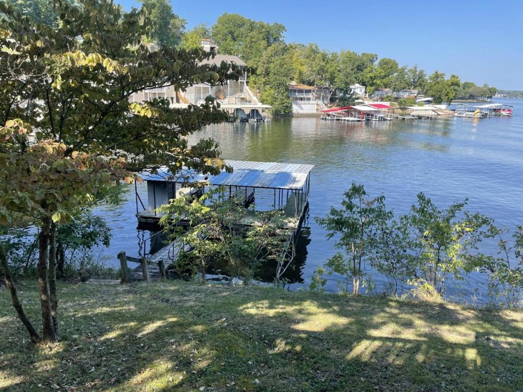 奥沙克湖Cozy Lake Cabin Dock boat slip and lily pad的水面上码头上的房屋