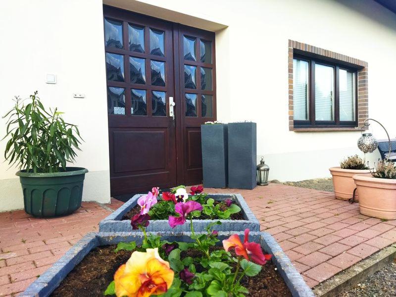 吕本瑙Ferienwohnung Familie Pohle的门前种满鲜花的花园
