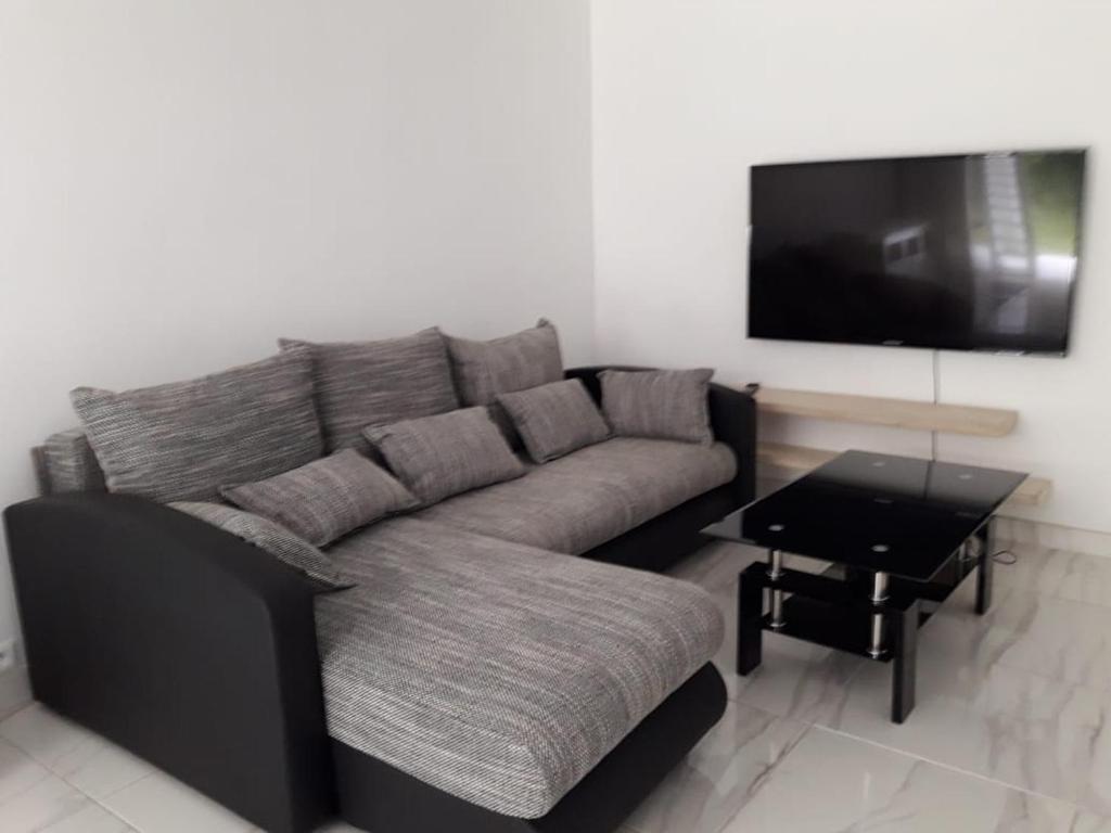勒拉芒坦JONA APT的带沙发和平面电视的客厅