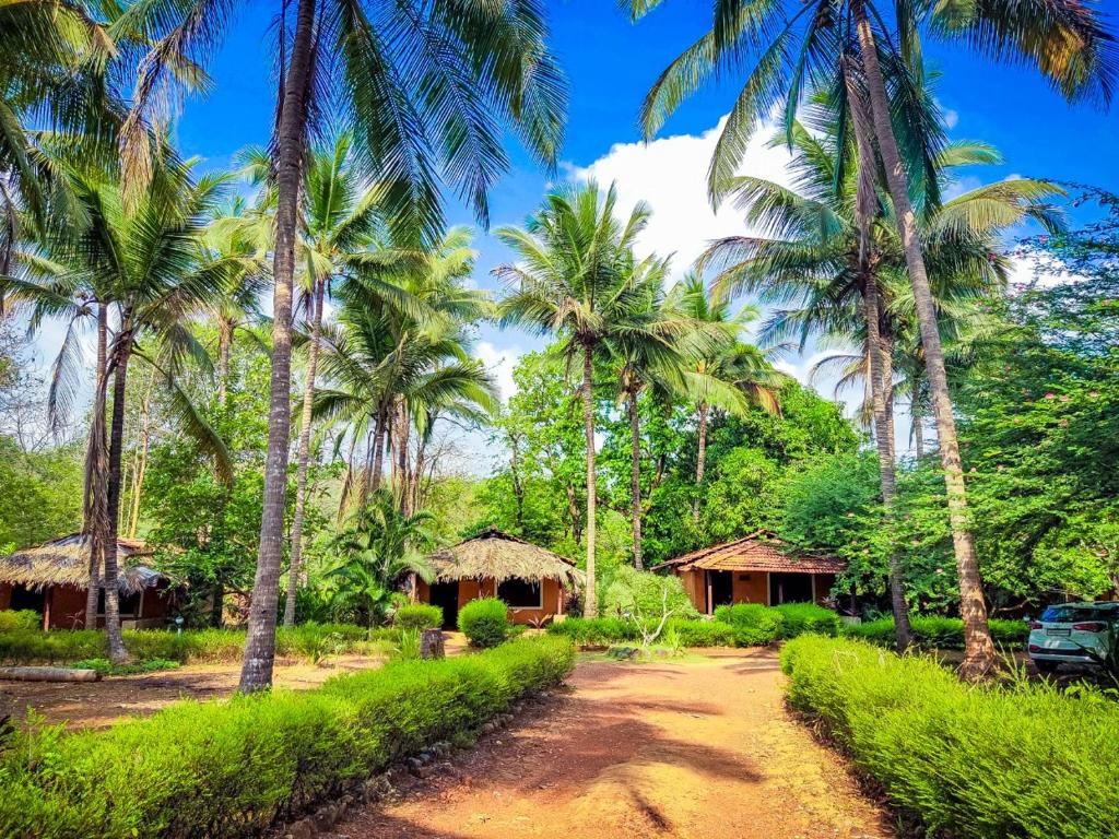 MolemNature's Nest Eco Resort Goa, Near Dudhsagar Waterfalls的一条在一群棕榈树前的道路