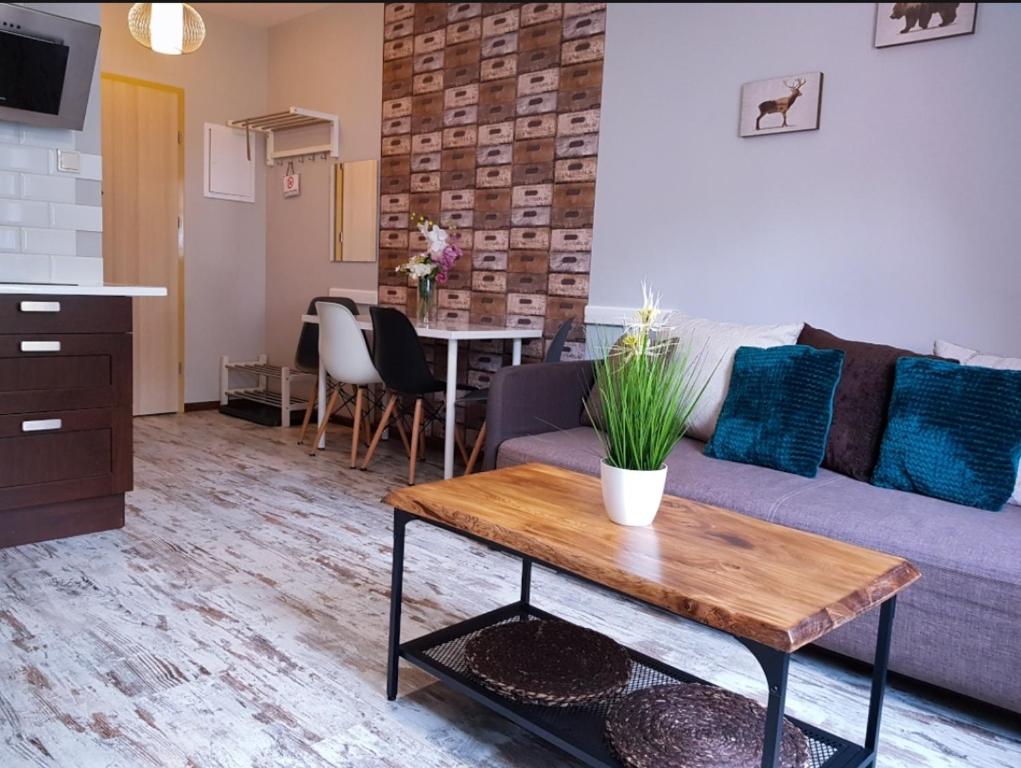 卡尔帕奇Apartament Evita的客厅配有沙发和桌子