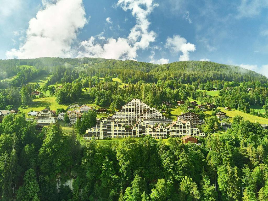 贝阿滕贝格贝阿滕贝格/因特拉肯多里安布吕姆利斯山酒店的山中的一个村庄,有房子和树木