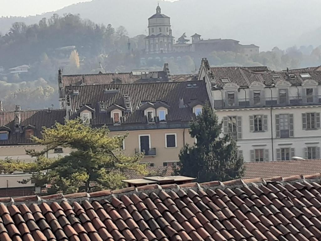 都灵Alloggio Torino InQuadro的享有拥有建筑和树木的城市美景