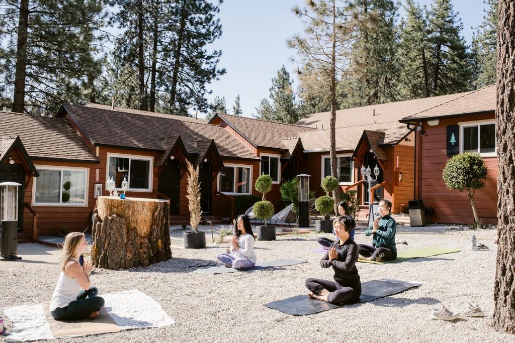 赖特伍德Grand Pine Cabins的一群坐在庭院里练习瑜伽的人