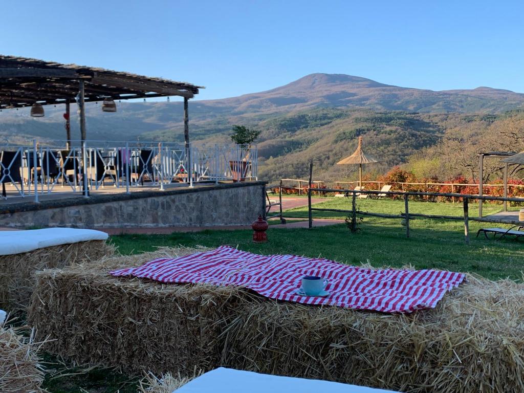 卡斯蒂戈隆·多尔希亚Agriturismo Villa La Palazzetta Terre di GIORGIO的田野中一堆干草上粉红色的毯子