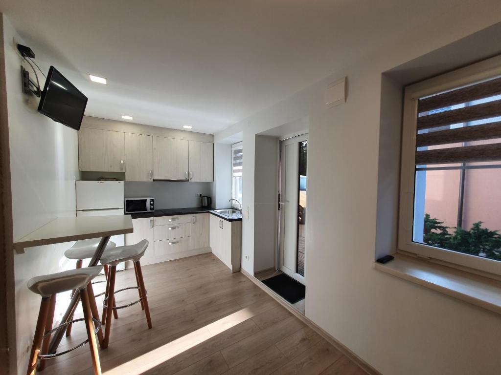 帕兰加S&S Apartments的厨房配有桌椅和窗户。