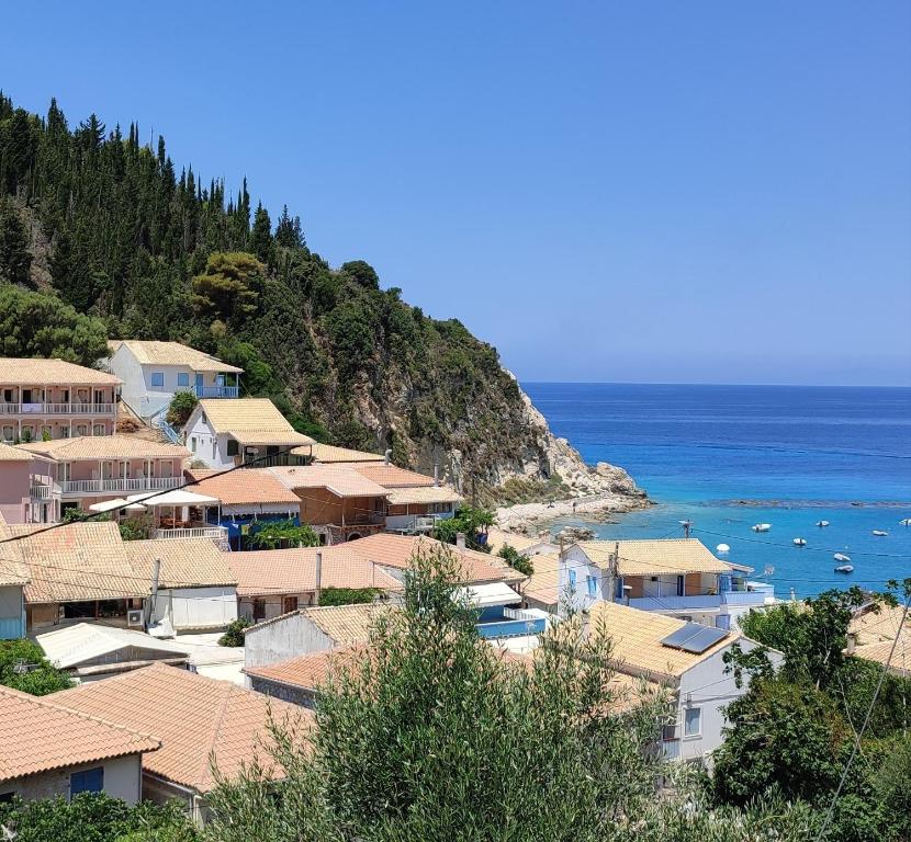 阿约斯尼奇塔斯Villa Spiros的海边山丘上的一群房子