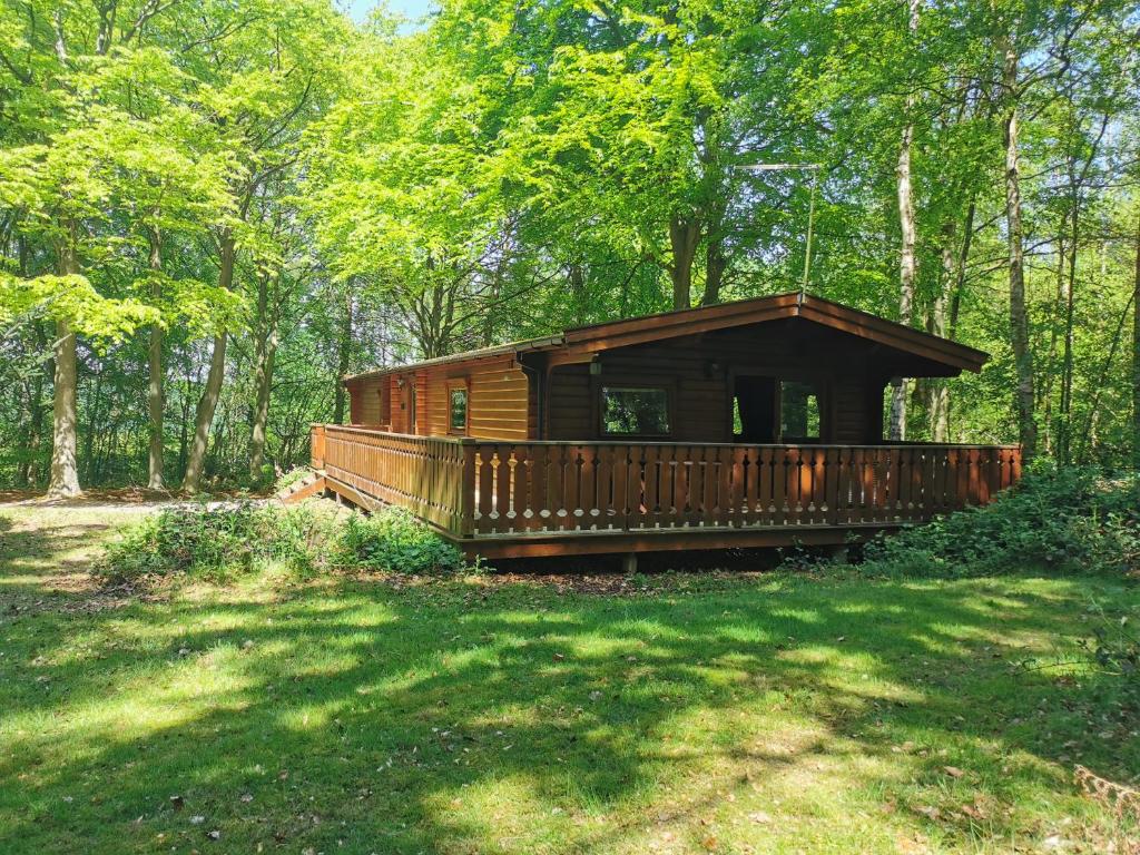 劳斯Fern Lodge的森林中间的小木屋