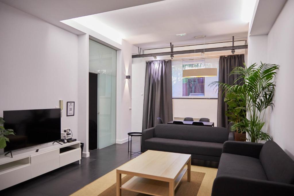 马德里LOFT PRINCIPE PIO的带沙发和电视的客厅
