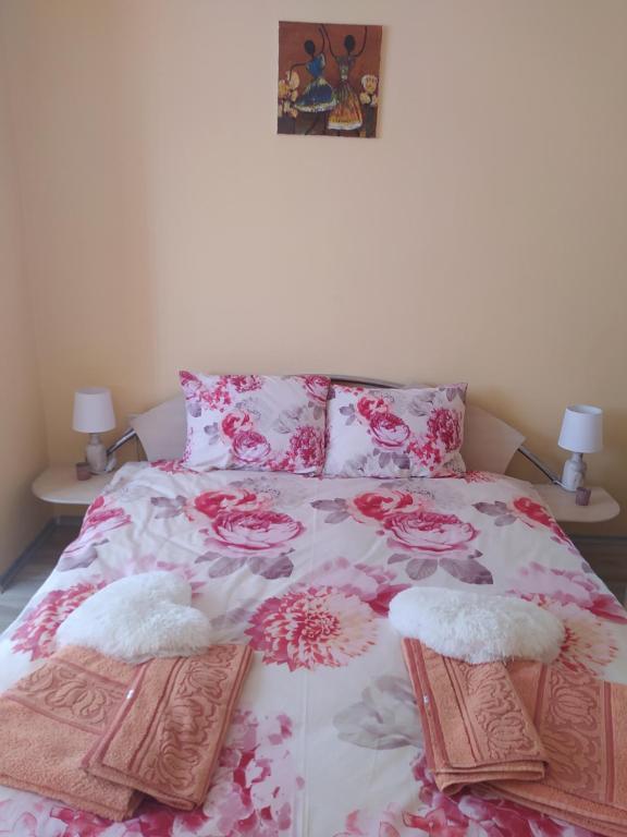 旧扎戈拉Raia的一张带两个枕头的床和花卉床罩