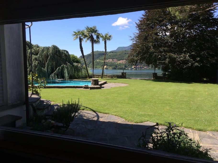 莫尔科泰Morcote Cottage的享有带游泳池和棕榈树的庭院景致的窗户