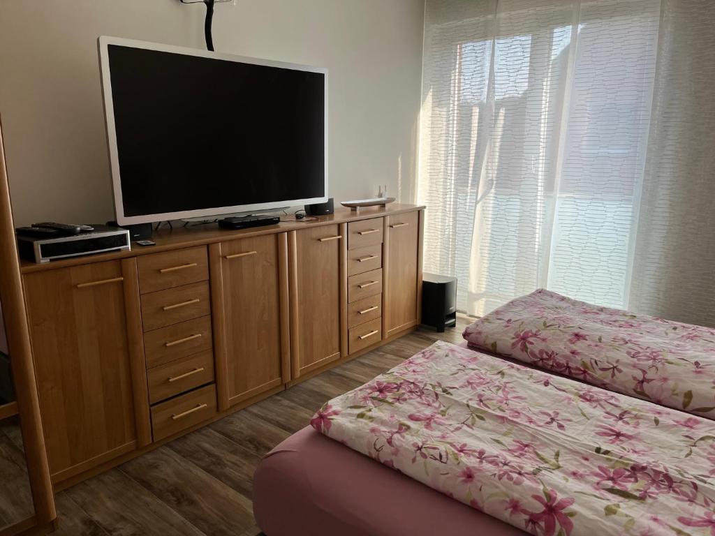 东贝沃恩Gästezimmer Am Haarhaus的卧室配有带梳妆台的平面电视