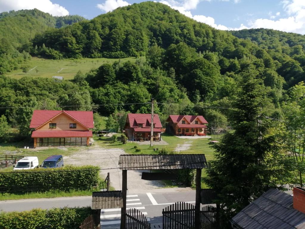 Rau SaduluiComplex turistic Nora Rau Sadului的享有村庄美景,设有房屋和山脉美景。