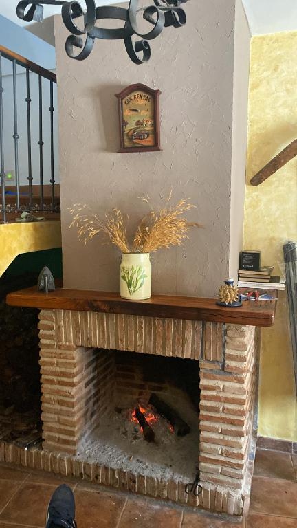 Almendral de la CañadaCasa Rural Luna del Tiétar的壁炉,壁炉的木 ⁇ 