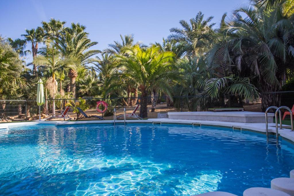 阿利坎特马戴瑞亚埃尔帕梅拉尔公寓酒店的一座棕榈树环绕的大型游泳池