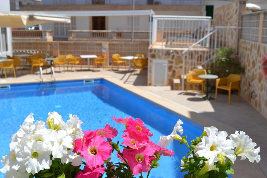卡拉纳雅达Hotel Vista Sol的游泳池设有粉红色和白色的鲜花以及桌椅