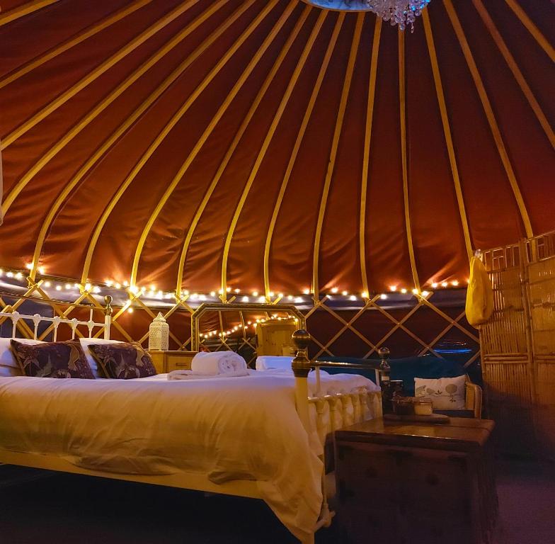 滨海韦斯顿Orchard View Yurt & Hot Tub Somerset的圆顶帐篷内的一张床位,上面有灯