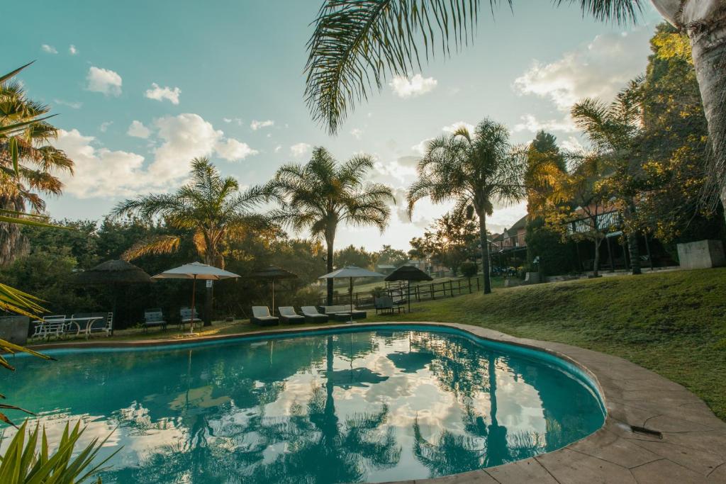 马加利斯堡Pecan Bush Lodge的一座棕榈树环绕的游泳池
