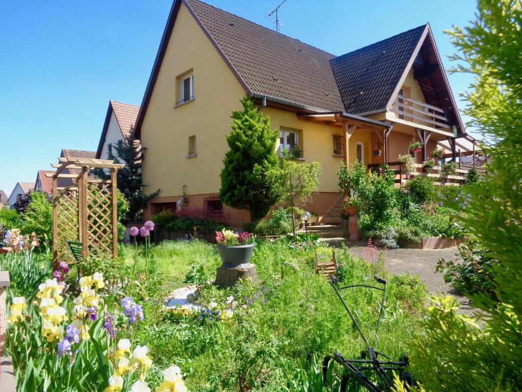 阿梅尔斯克维丁香镇旅馆的前面有花园的房子