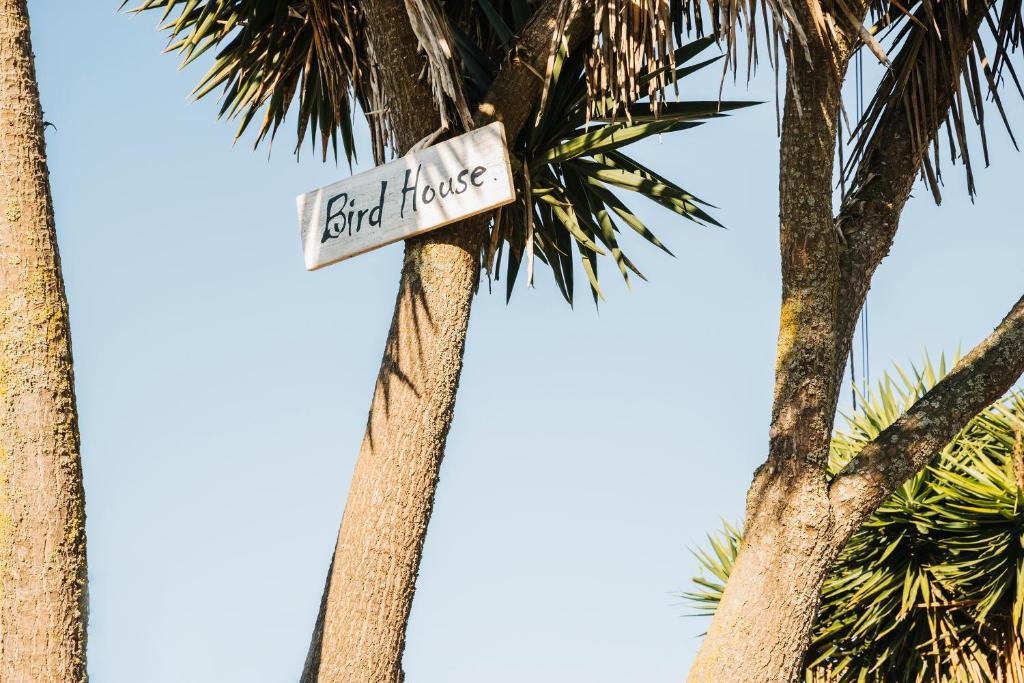 劳林哈Bird House的棕榈树前的街道标志