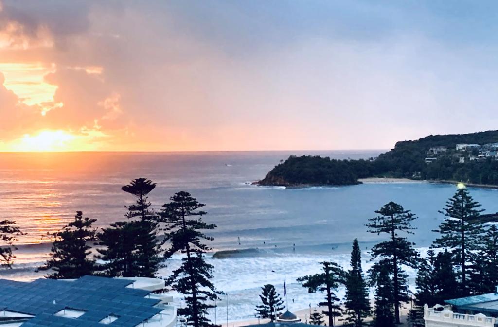 悉尼Manly Ocean Beach View Sunrise & Sunset的树木和海洋的海滩上的日落