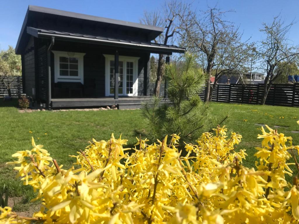 德鲁斯基宁凯Atostogų namelis Laukys的前面有黄色花的房子