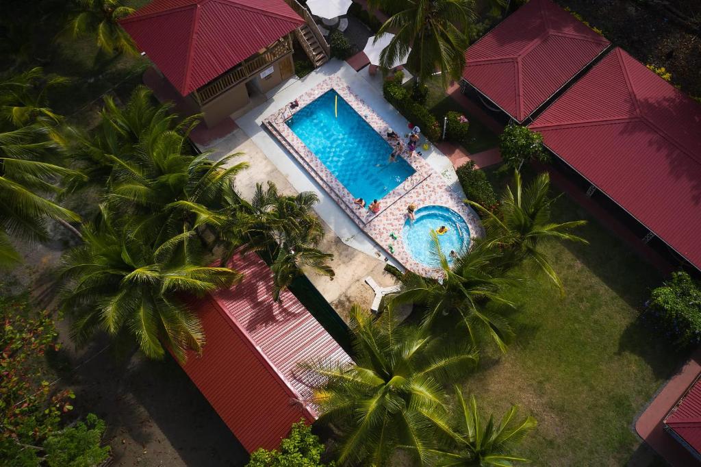 帕里塔Tranquilidad Resort的享有棕榈树和遮阳伞的游泳池的顶部景致
