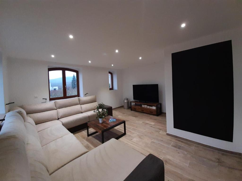 PfaffenheimLoree des Vignes的客厅配有大沙发和平面电视
