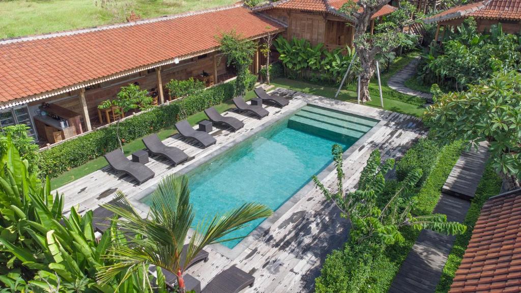坎古Bajalo Cottage Canggu的享有带躺椅的游泳池和游泳池的空中景致