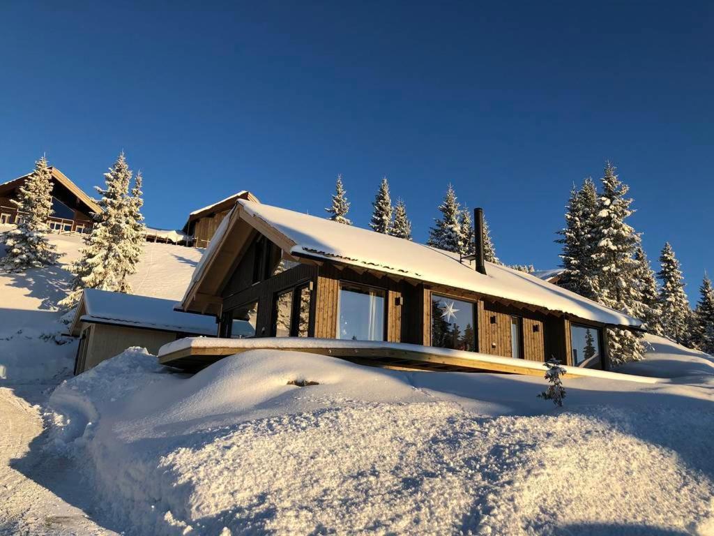 RingsakerModern New Large Cabin Ski in out Sjusjøen的一座被雪覆盖的房屋,有树木
