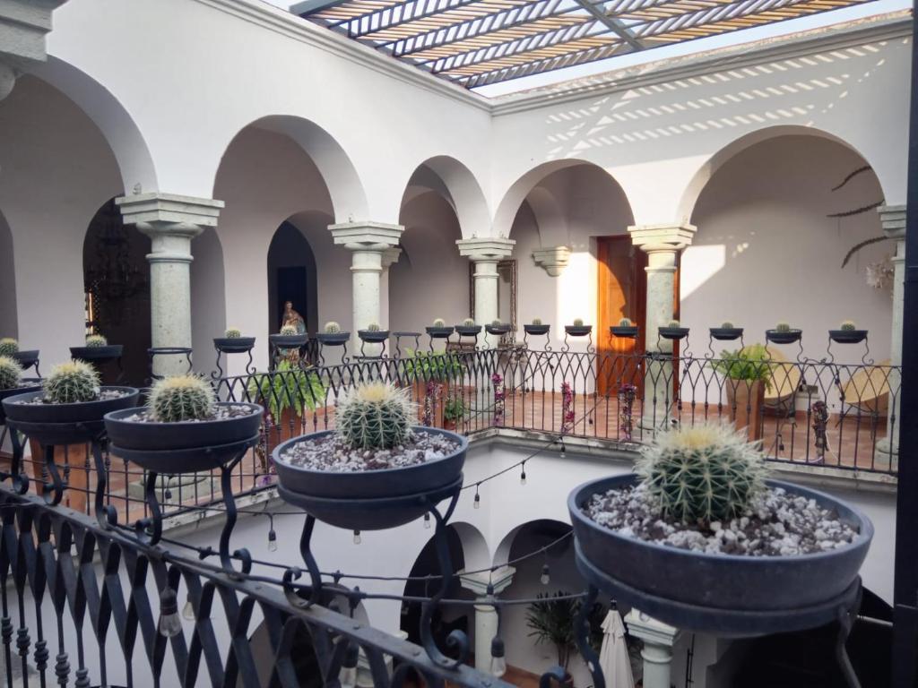 瓦哈卡市Casa de la Asunción的建筑中阳台的一排盆盆植物