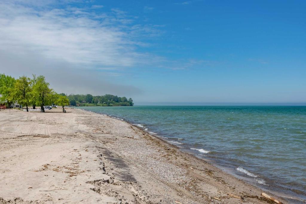 SodusCharming Sodus Point Getaway with Lake Views!的一片种满树木和水的沙滩