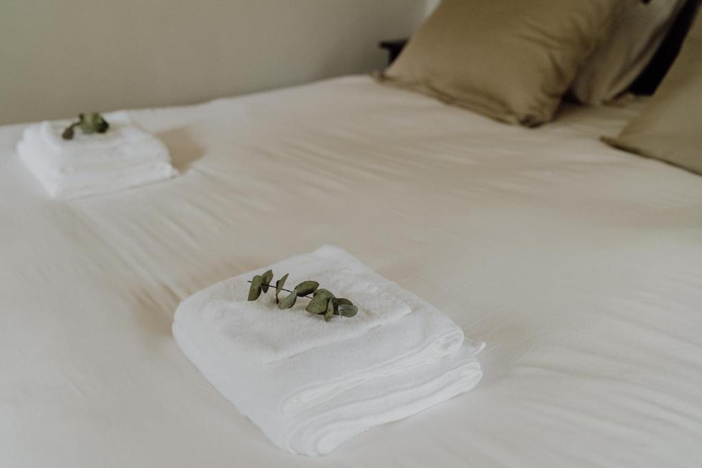 多克姆B&B Oan't Wetter的一张白色的床,上面有两条毛巾