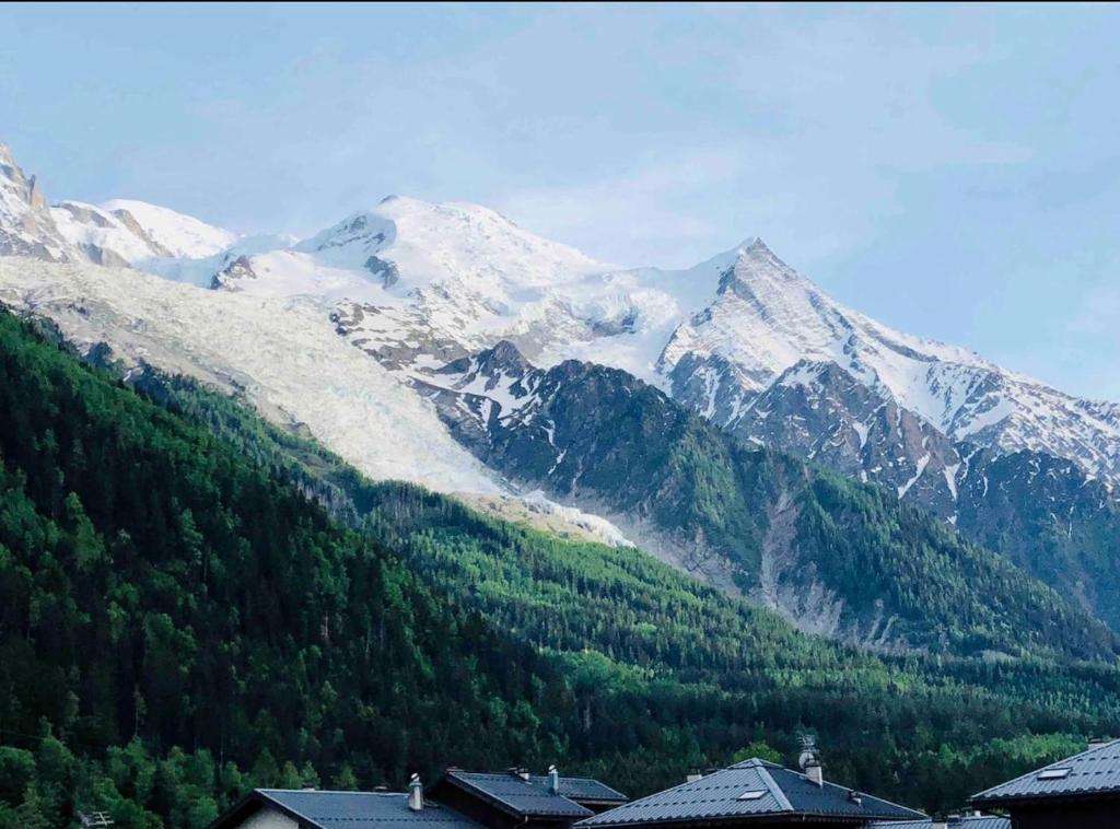 夏蒙尼-勃朗峰Mont Blanc 25, vue Mont blanc, balcon, parking的享有山脉和雪覆盖山脉的美景