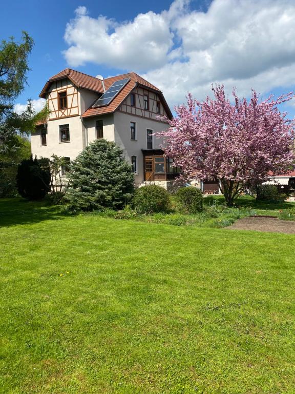 魏玛Apartment Hohe Pappel Weimar的院子前有花树的房子