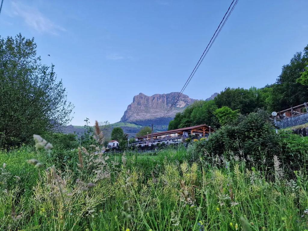 拉马莱斯德拉维克托里亚CAMPING RAMALES的一条以山为背景的轨道上的火车