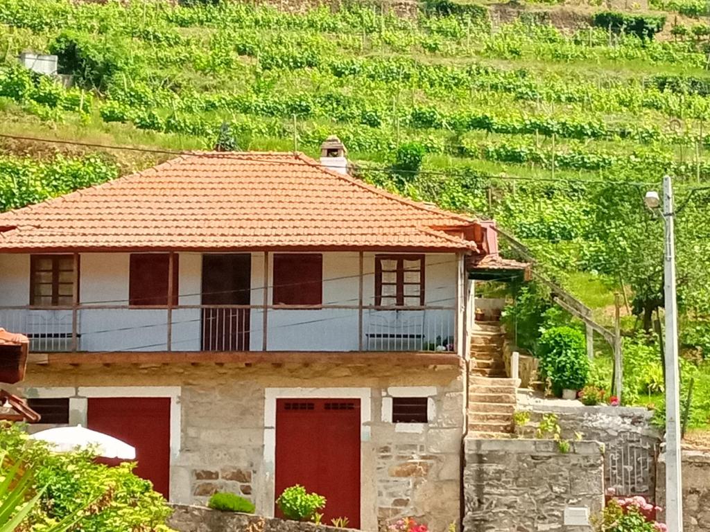 拉梅戈D. Maria São Pedro de Balsemão的山前有红色门的房子