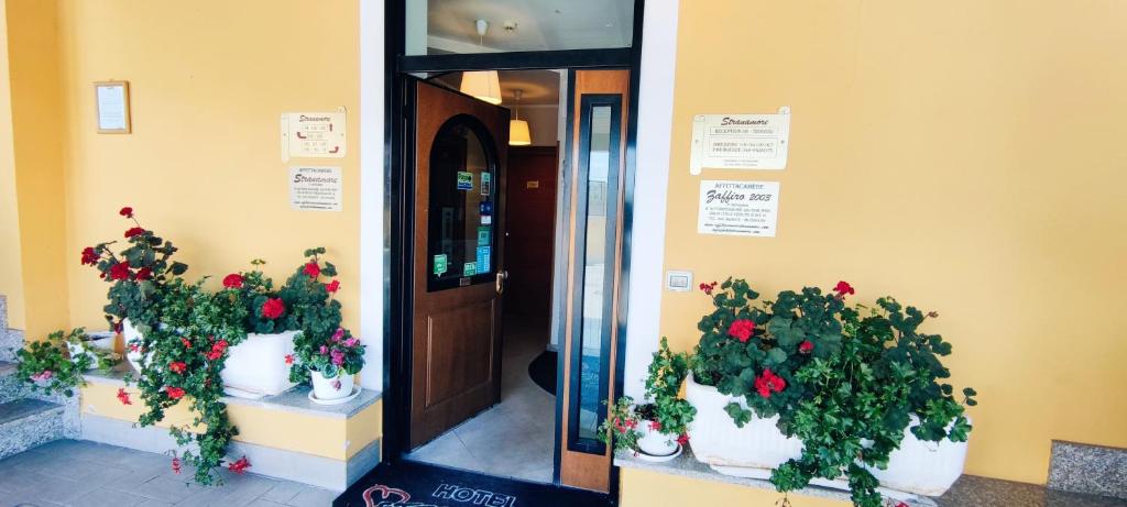 弗拉斯卡蒂斯特拉纳摩尔旅馆的门旁墙上有两株盆栽植物
