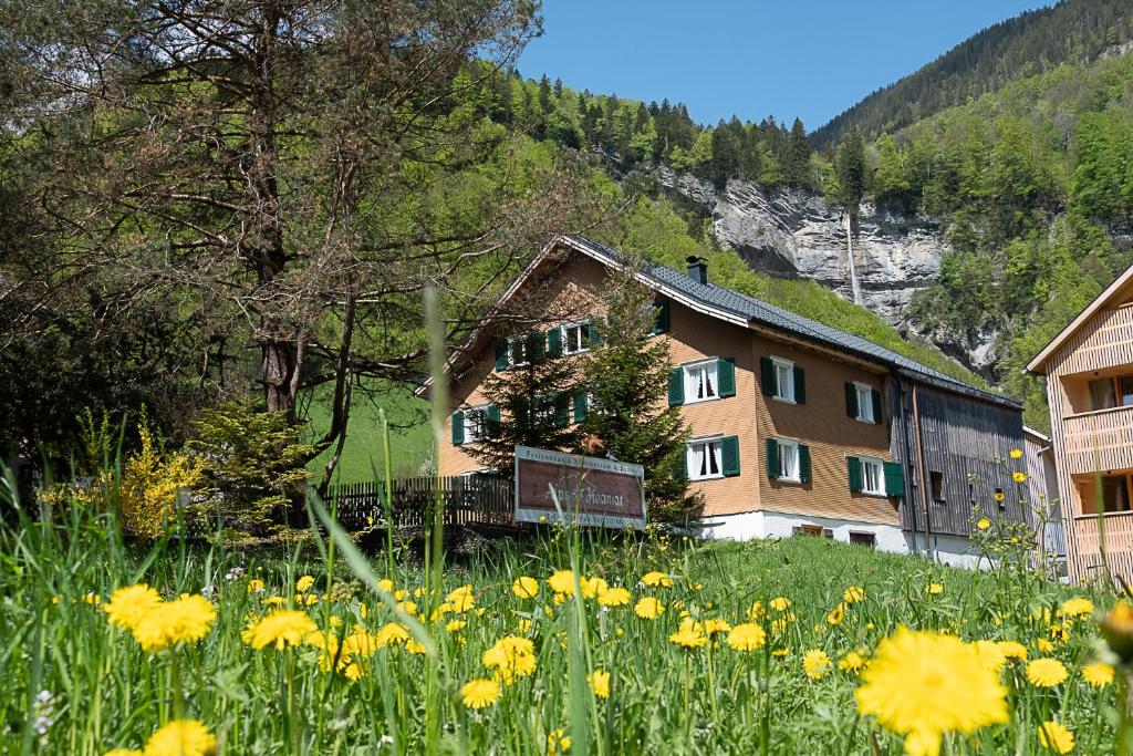 梅劳Alps Hoamat的建筑前方的黄色花田