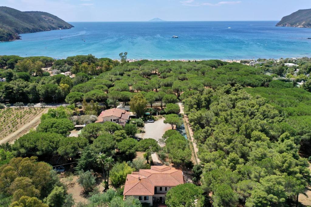 卡波利韦里Hotel Giardino的享有树木和大海的房屋的空中景致